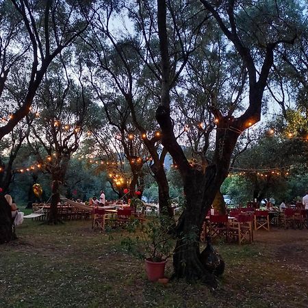 Antico Uliveto Konuk evi Seravezza Dış mekan fotoğraf