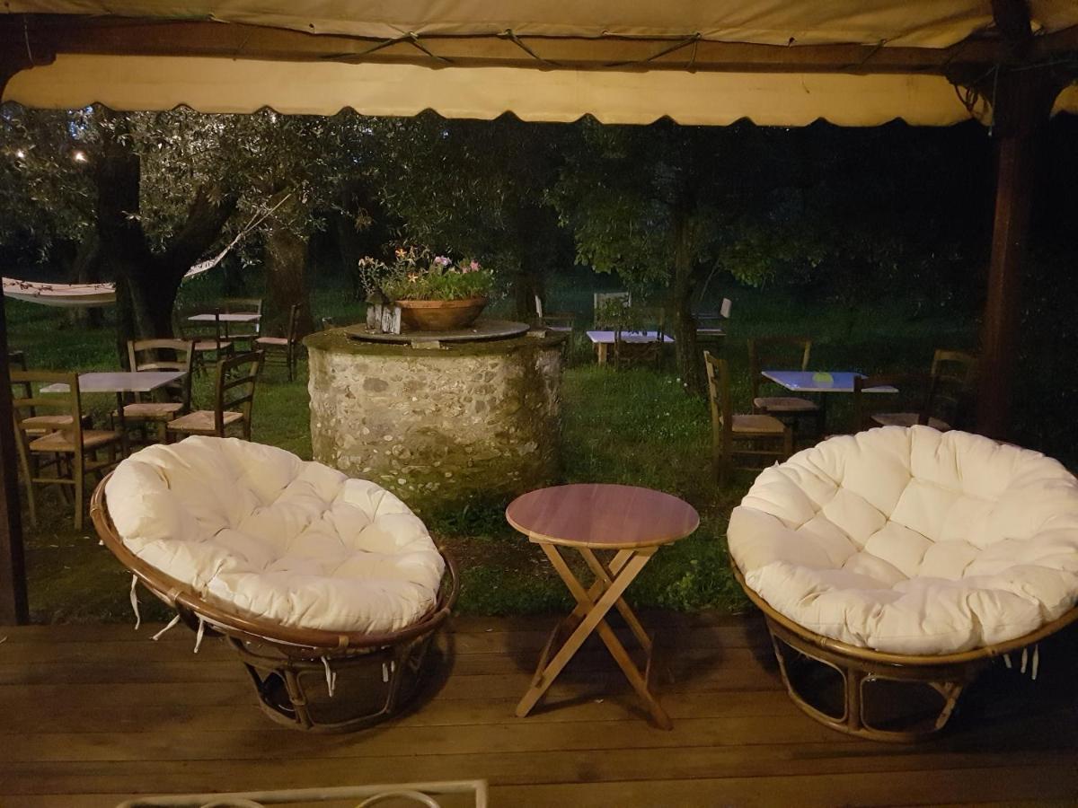 Antico Uliveto Konuk evi Seravezza Dış mekan fotoğraf