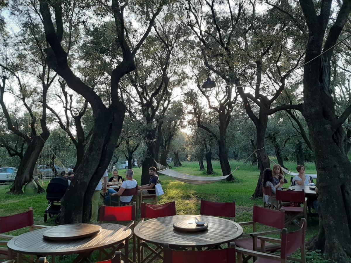 Antico Uliveto Konuk evi Seravezza Dış mekan fotoğraf