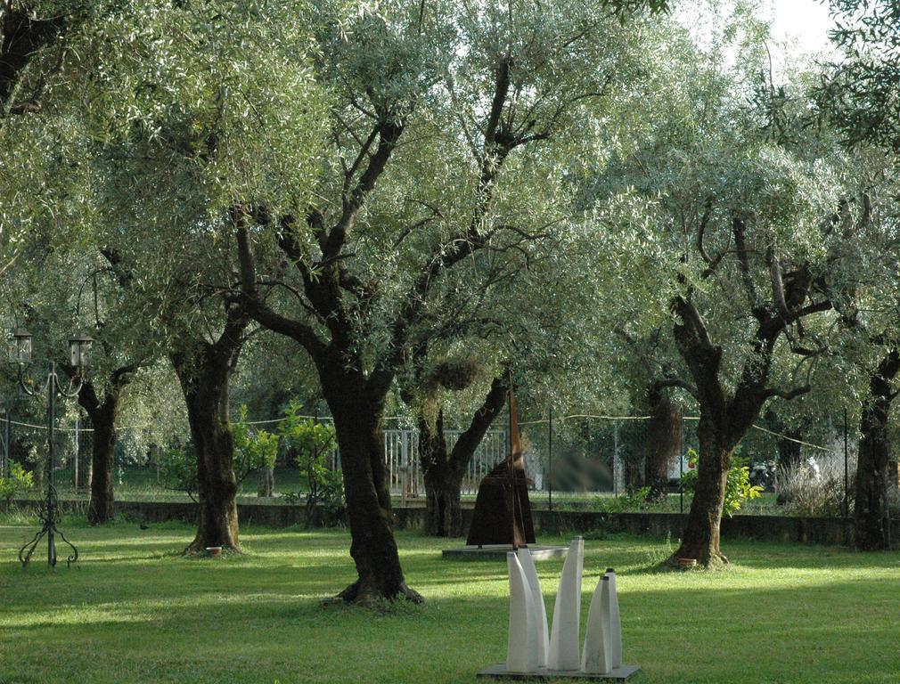 Antico Uliveto Konuk evi Seravezza Dış mekan fotoğraf