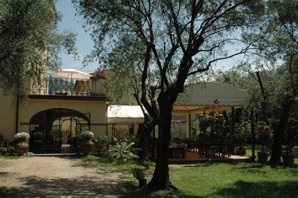 Antico Uliveto Konuk evi Seravezza Dış mekan fotoğraf