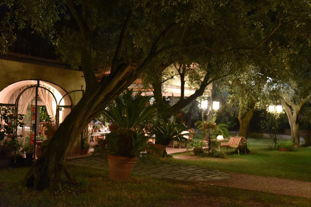 Antico Uliveto Konuk evi Seravezza Dış mekan fotoğraf