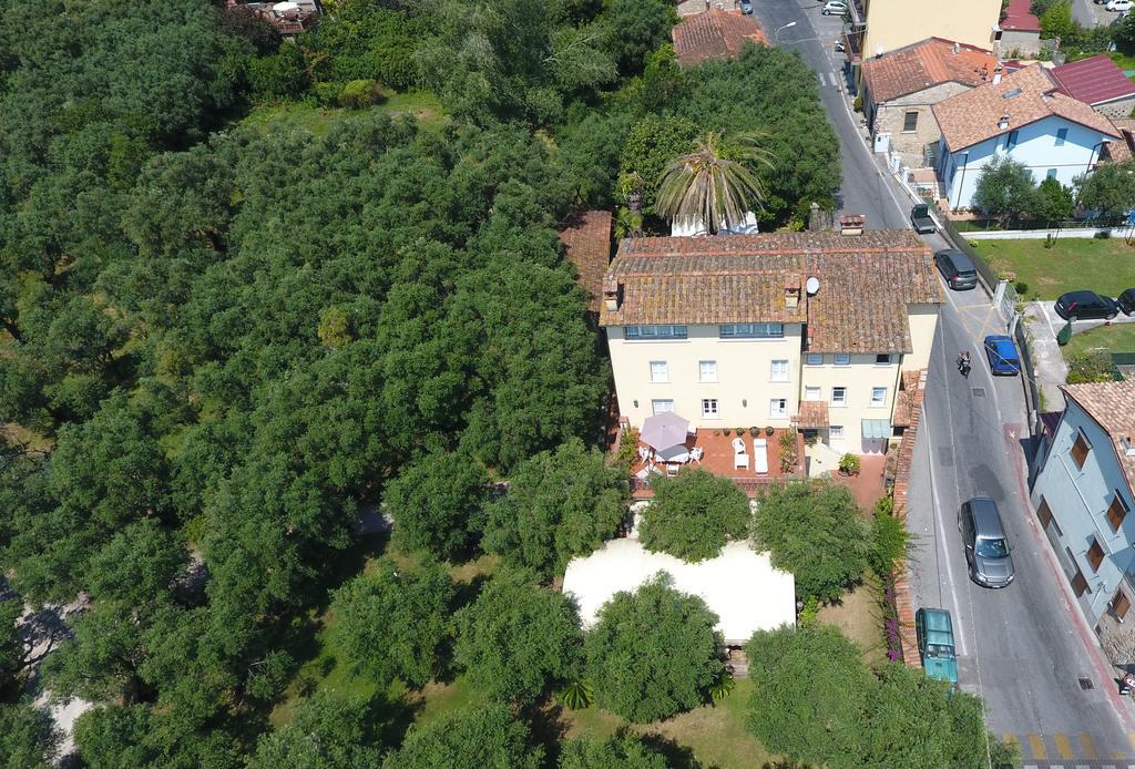 Antico Uliveto Konuk evi Seravezza Dış mekan fotoğraf