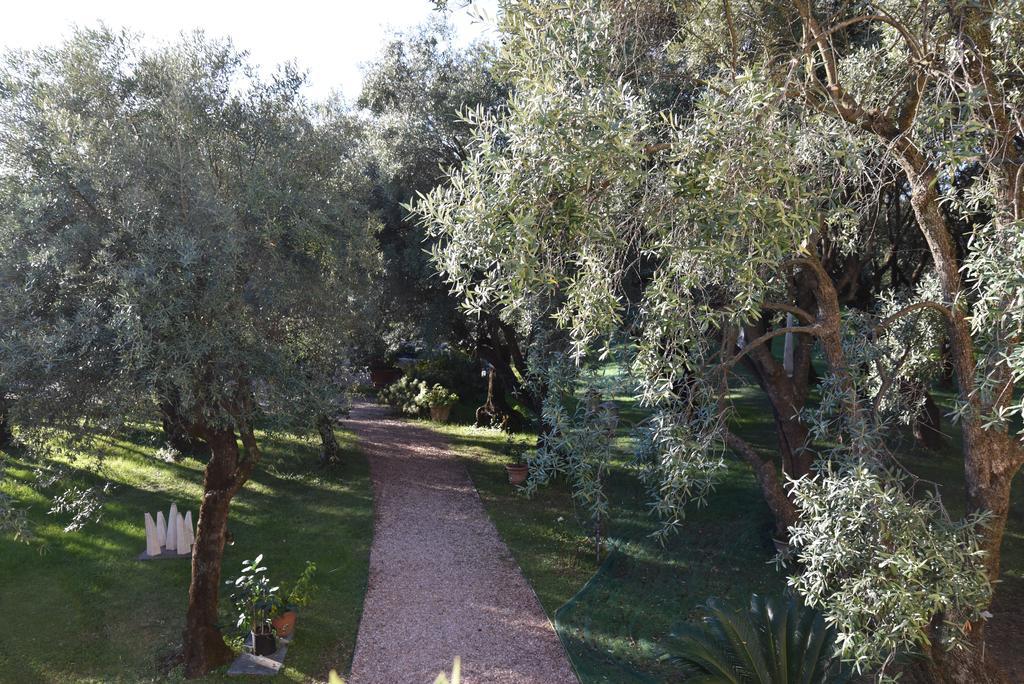 Antico Uliveto Konuk evi Seravezza Dış mekan fotoğraf