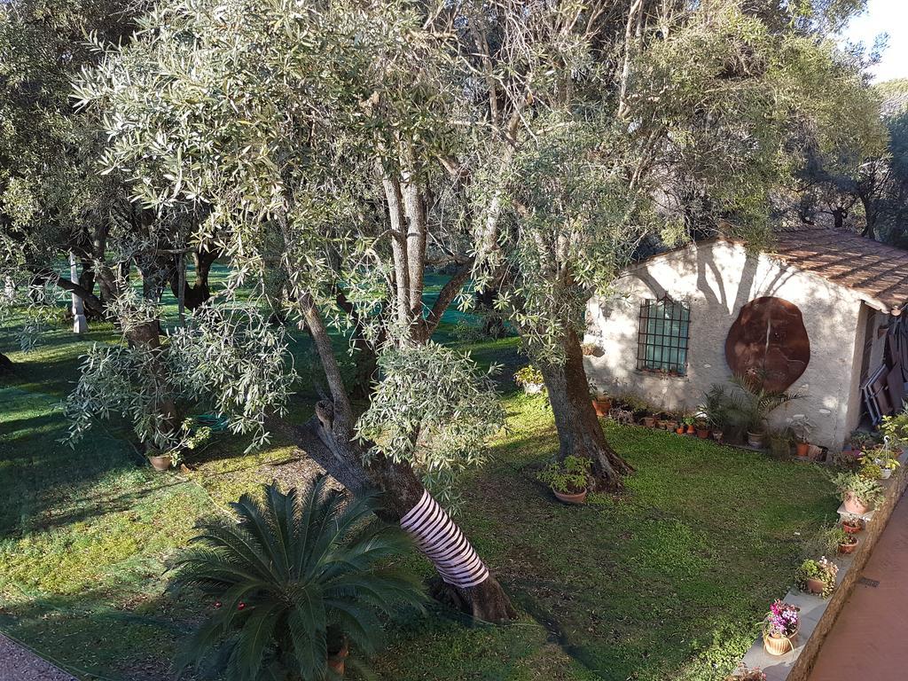 Antico Uliveto Konuk evi Seravezza Dış mekan fotoğraf