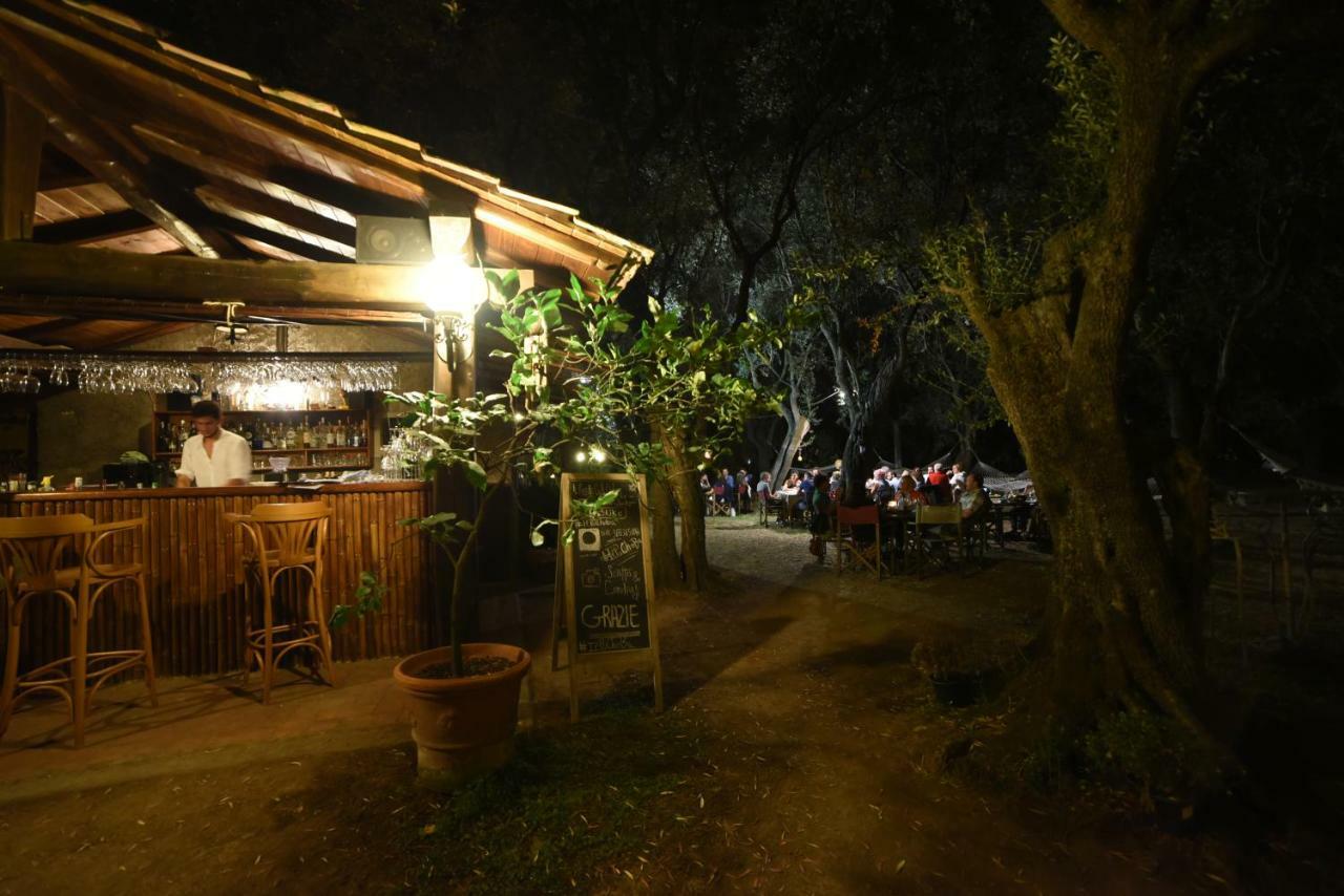Antico Uliveto Konuk evi Seravezza Dış mekan fotoğraf